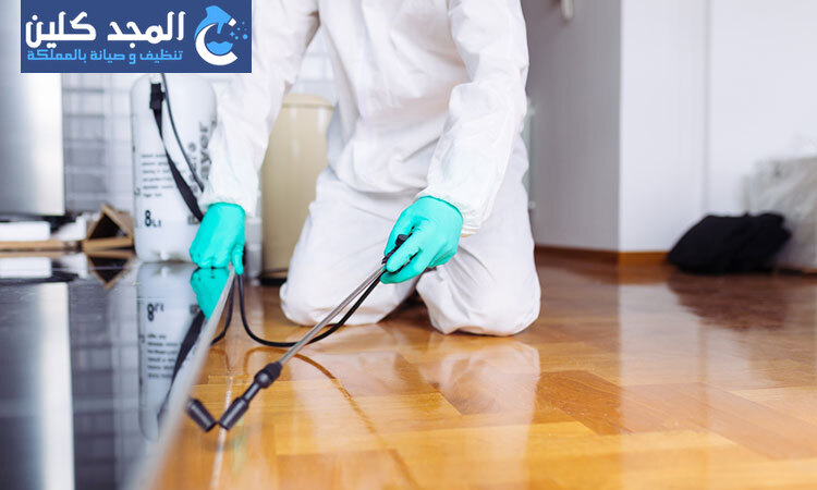 شركة مكافحة الحشرات بحي الصحافة