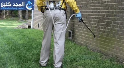 شركة مكافحة حشرات بحي عليشة