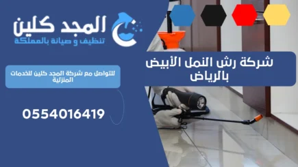 شركة رش النمل الأبيض بالرياض