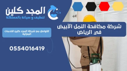 شركة مكافحة النمل الأبيض في الرياض