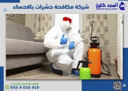 شركة مكافحة حشرات بالاحساء