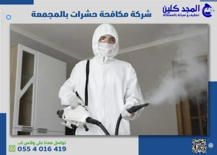 شركة مكافحة حشرات بالمجمعة