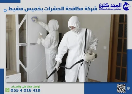 شركة مكافحة الحشرات بخميس مشيط