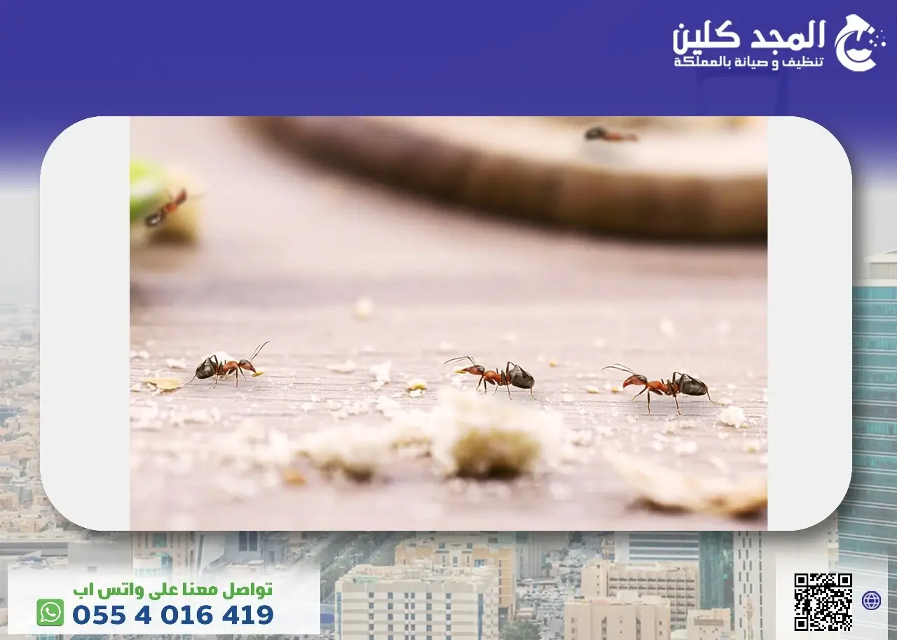 طرق التخلص من الحشرات الصغيرة جدا