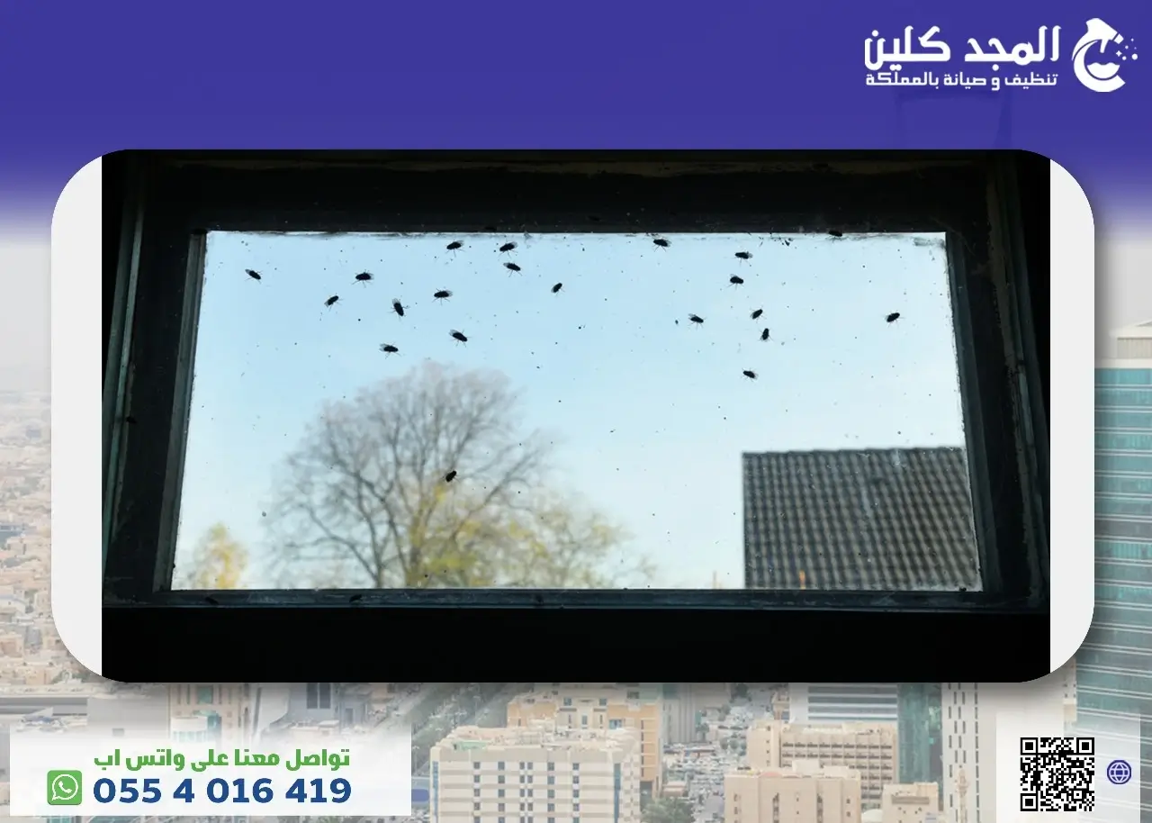 كيفية التخلص من الحشرات الطائرة الصغيرة