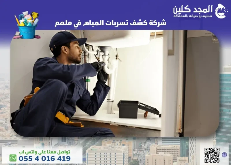 شركة كشف تسربات المياه في ملهم