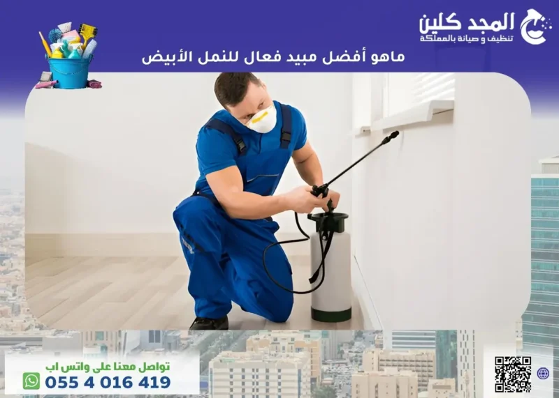 ما هو أفضل مبيد فعال للنمل الأبيض؟