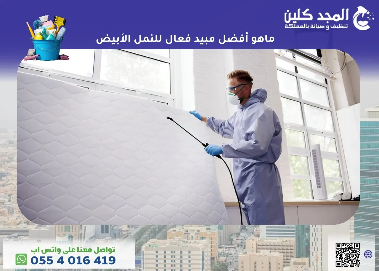 أفضل مبيد فعال للنمل الأبيض