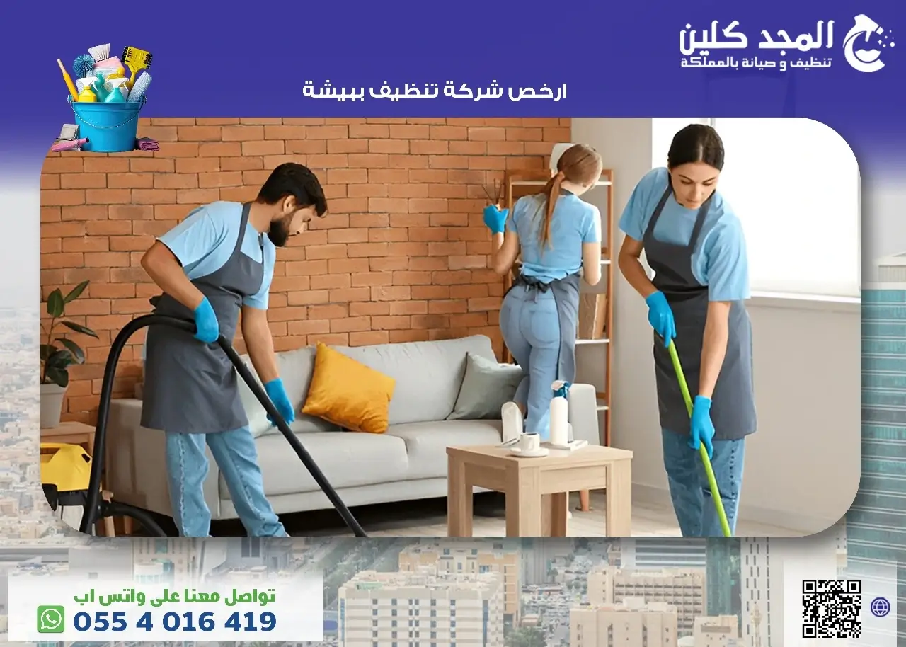 ارخص شركة تنظيف ببيشة