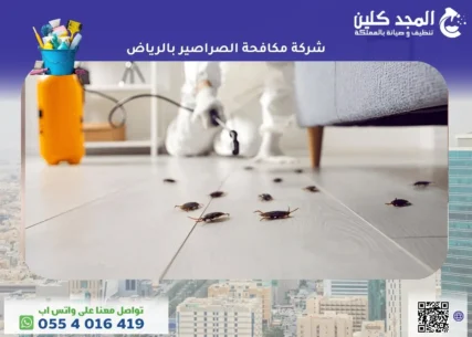 شركة مكافحة الصراصير بالرياض