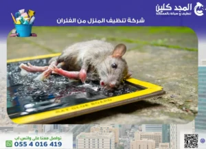 شركة تنظيف المنزل من الفئران 0554016419 المجد كلين