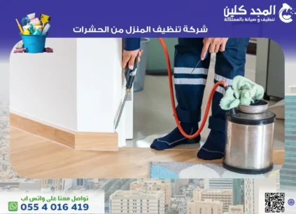 تنظيف المنزل من الحشرات