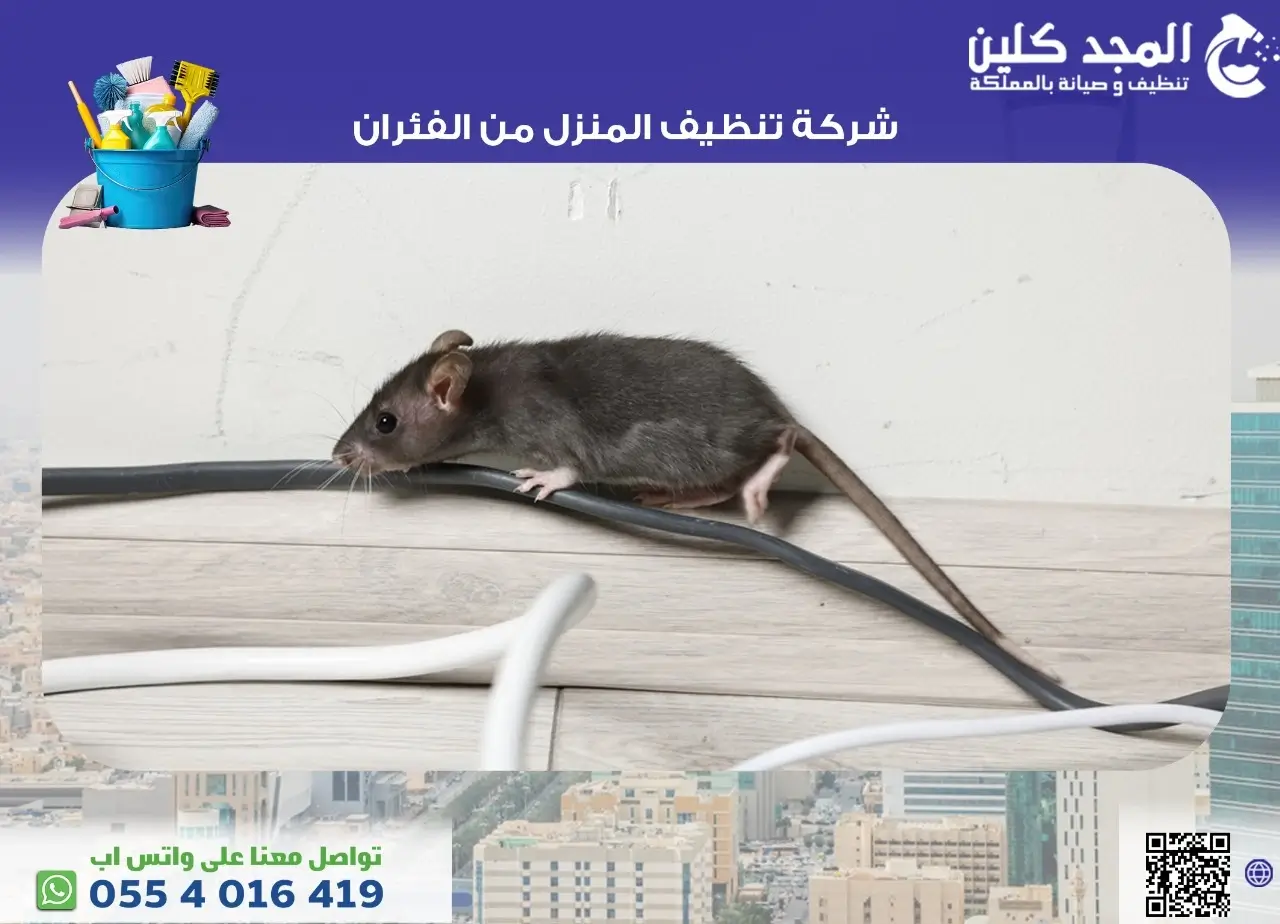 شركة تنظيف المنزل من الفئران