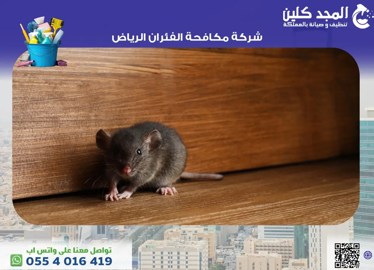 شركة مكافحة الفئران الرياض