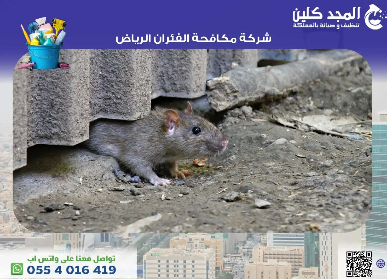 شركة مكافحة الفئران الرياض